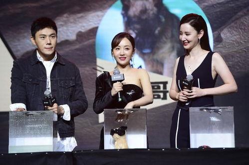 娱乐圈吃瓜大全爆料,揭秘明星背后的秘密与八卦